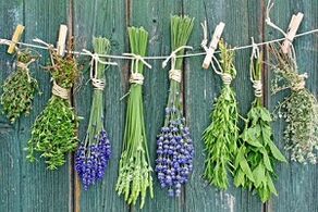 herbes pour traiter la mycose des ongles des pieds